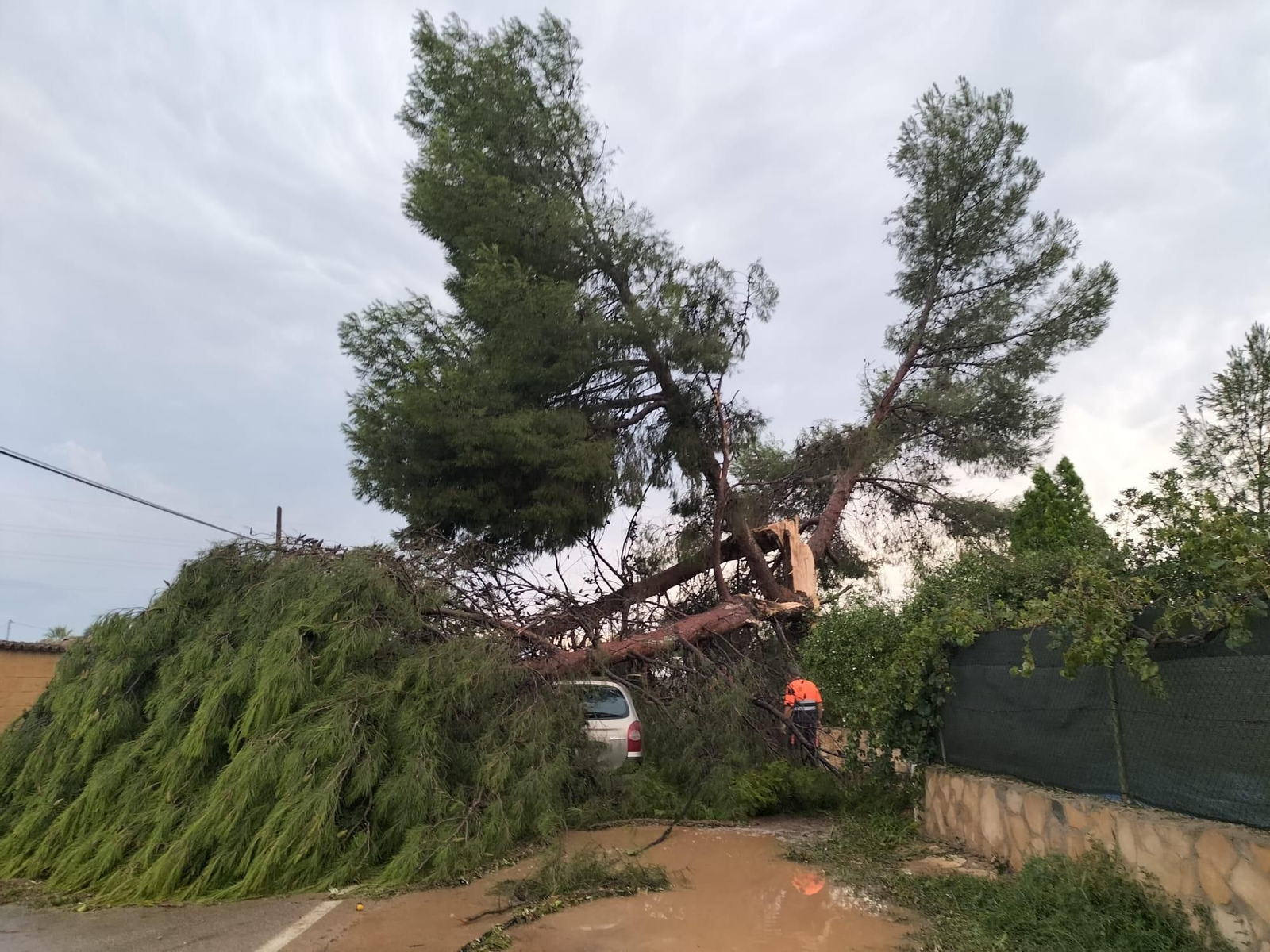 Conseqüències de les tempestes a la Pobla de Vallbona