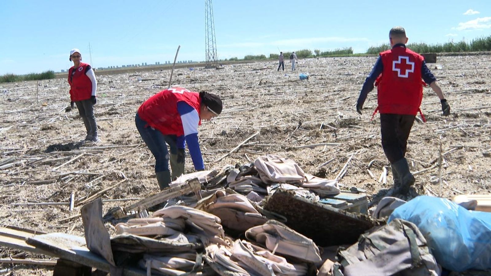 Voluntaris de la Creu Roja netejen un arrossar de Silla