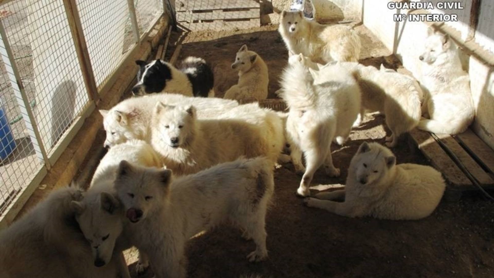 Imatge: Europa Press.