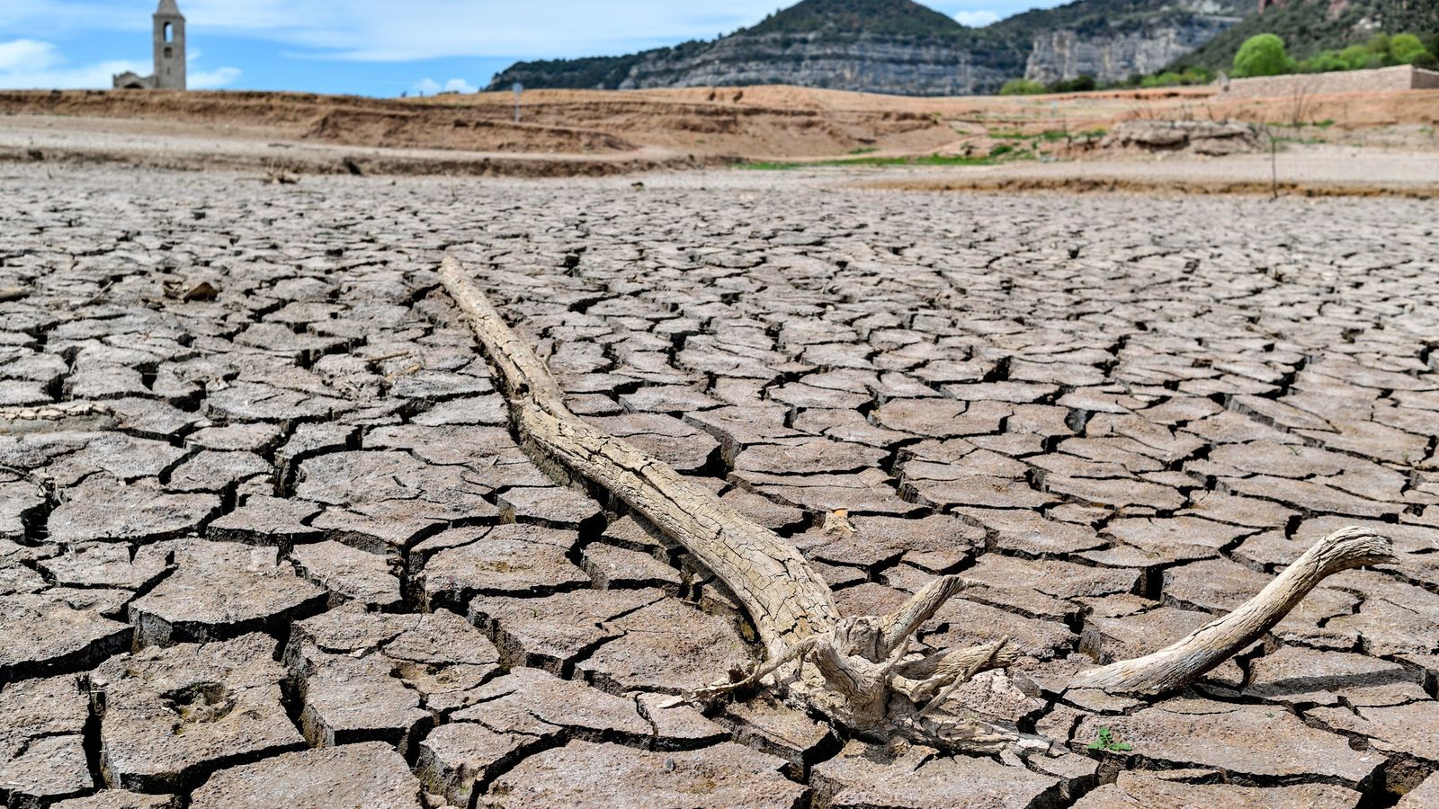 Imatge d'arxiu d'un terreny afectat per la sequera