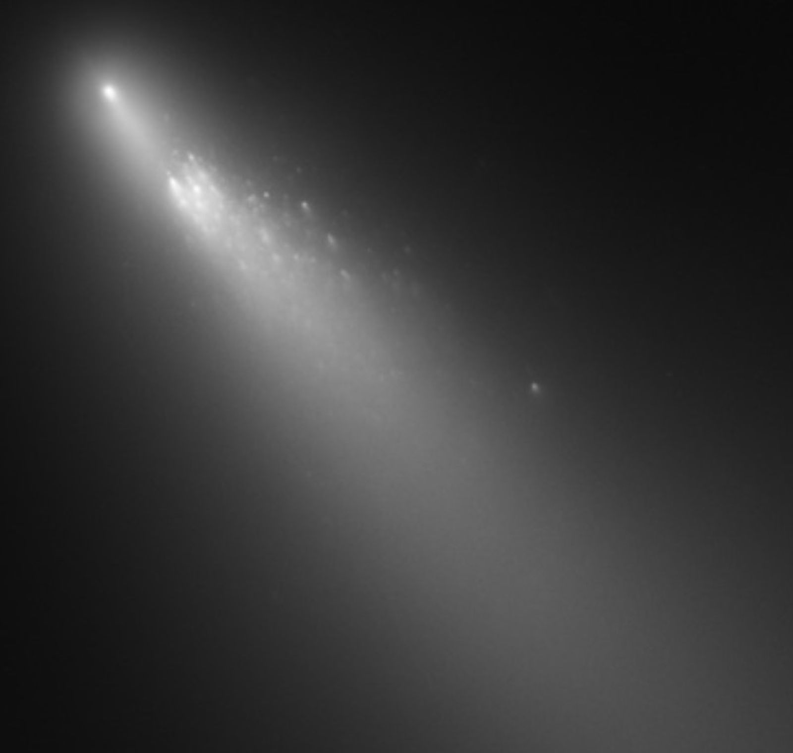 Fotografia del cometa Schwassmann-Wachmann 3 l'abril del 2006