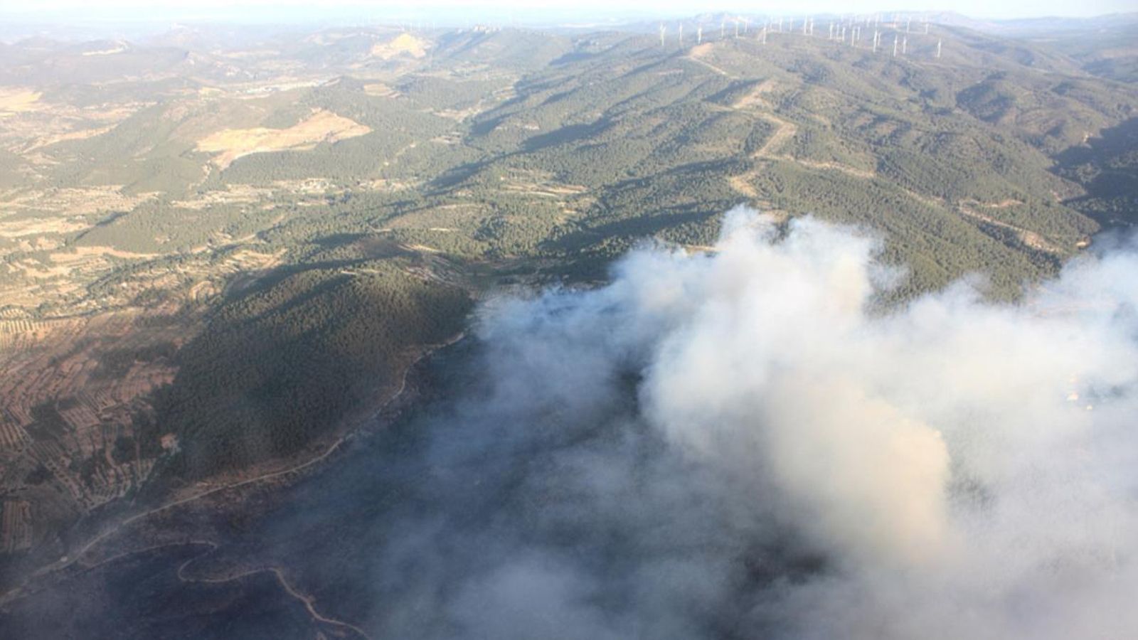 Imatges aèries de l’incendi forestal d’Andilla
