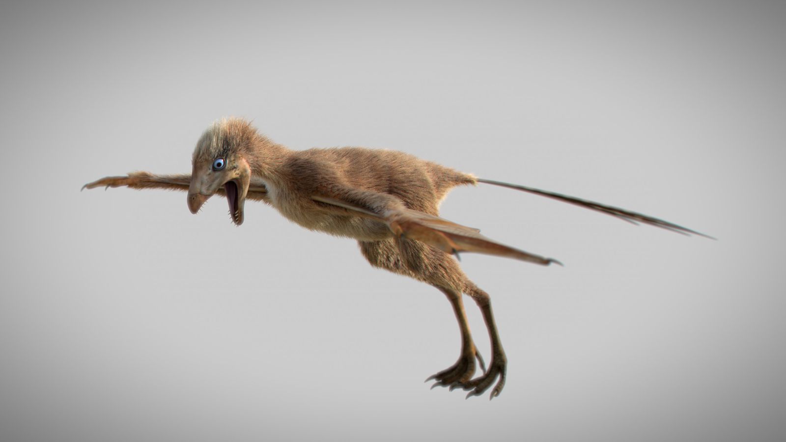 Reconstrucció en 3D del dinosaure Ambopteryx longibrachium