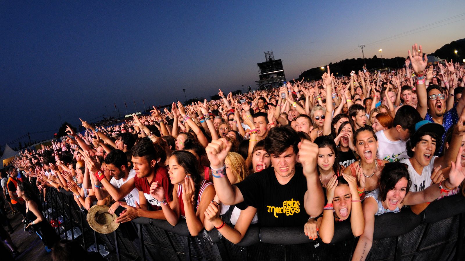 El públic aclamant els artistes al FIB