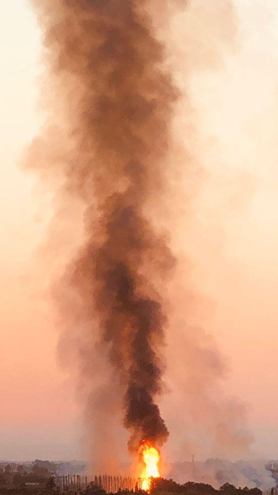 Imatge de l'incendi al palmeral de Cullera