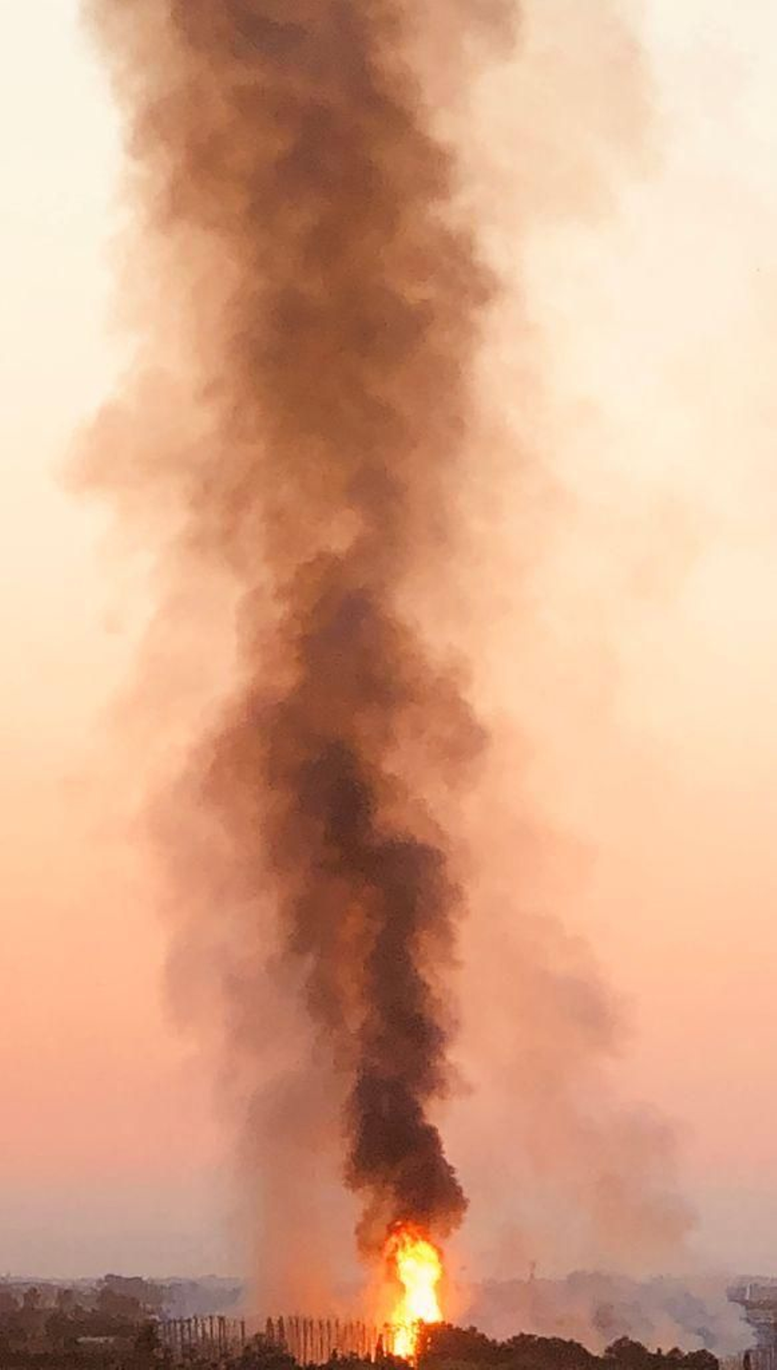 Imatge de l'incendi al palmeral de Cullera