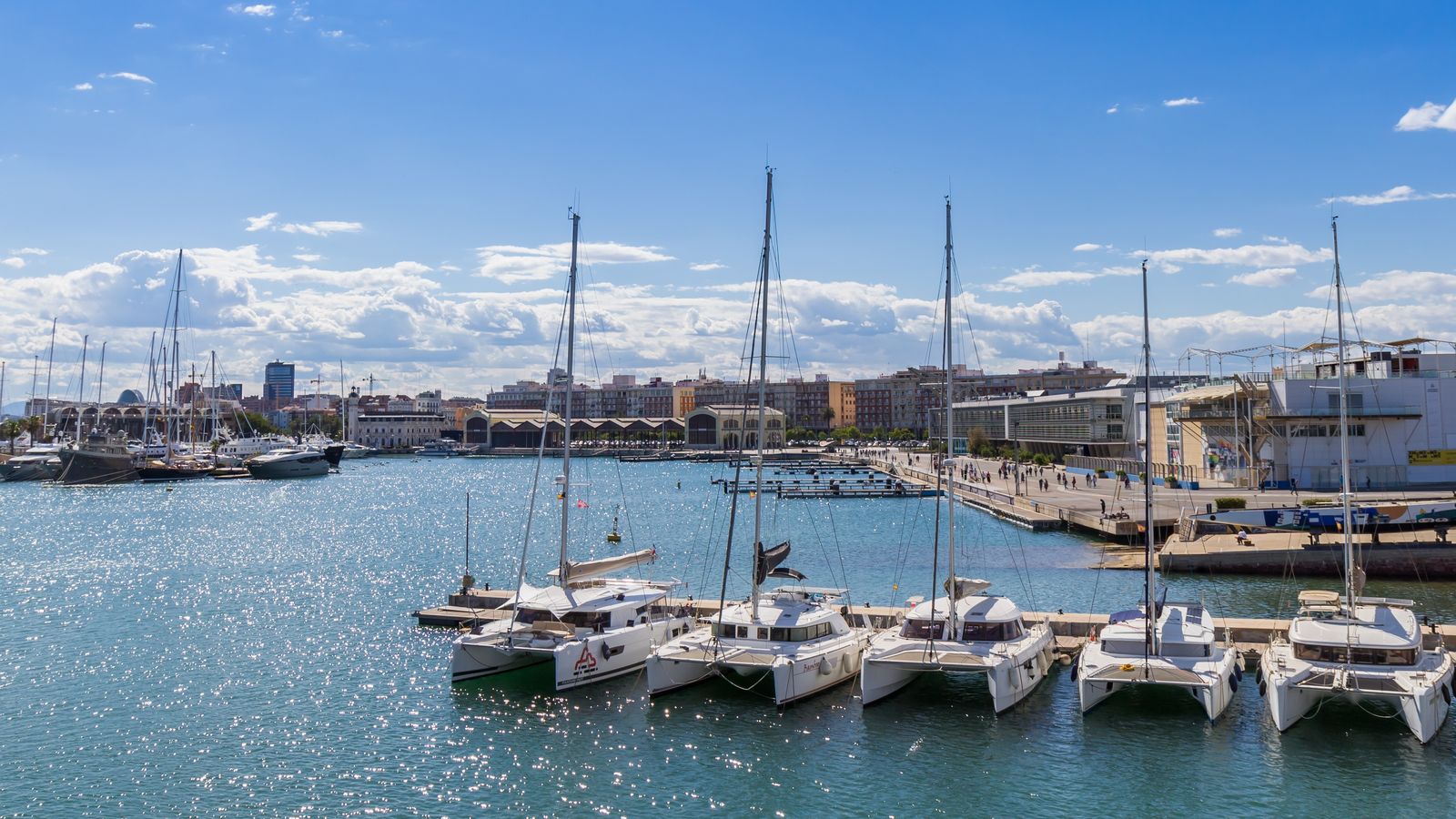 Diverses embarcacions a la Marina de València