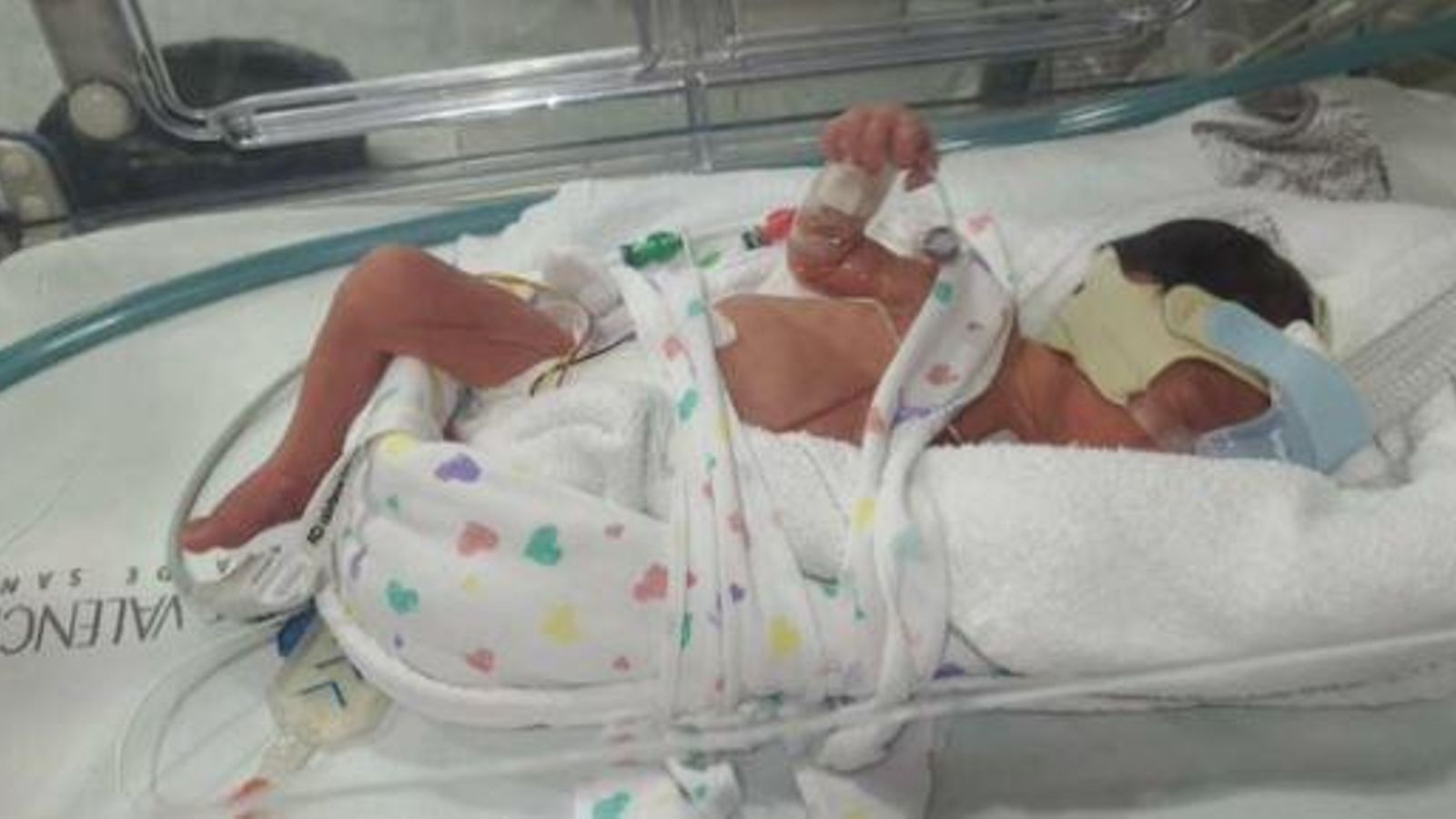 Un dels nadons a la incubadora de l'Hospital General d'Elx