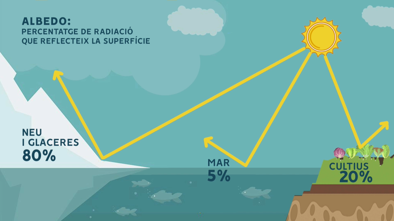Les superfícies gelades, com ara l'Antàrtida, reflecteixen en gran mesura la radiació solar, el que es coneix com a albedo. Si aquestes superfícies es redueixen, una menor reflectivitat contribuirà a un major escalfament de la superfície terrestre