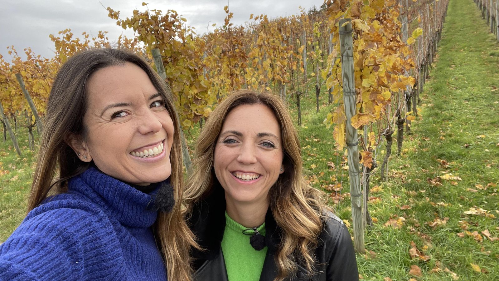 Fellbach, una regió molt important a Alemanya gràcies a la producció vinícola