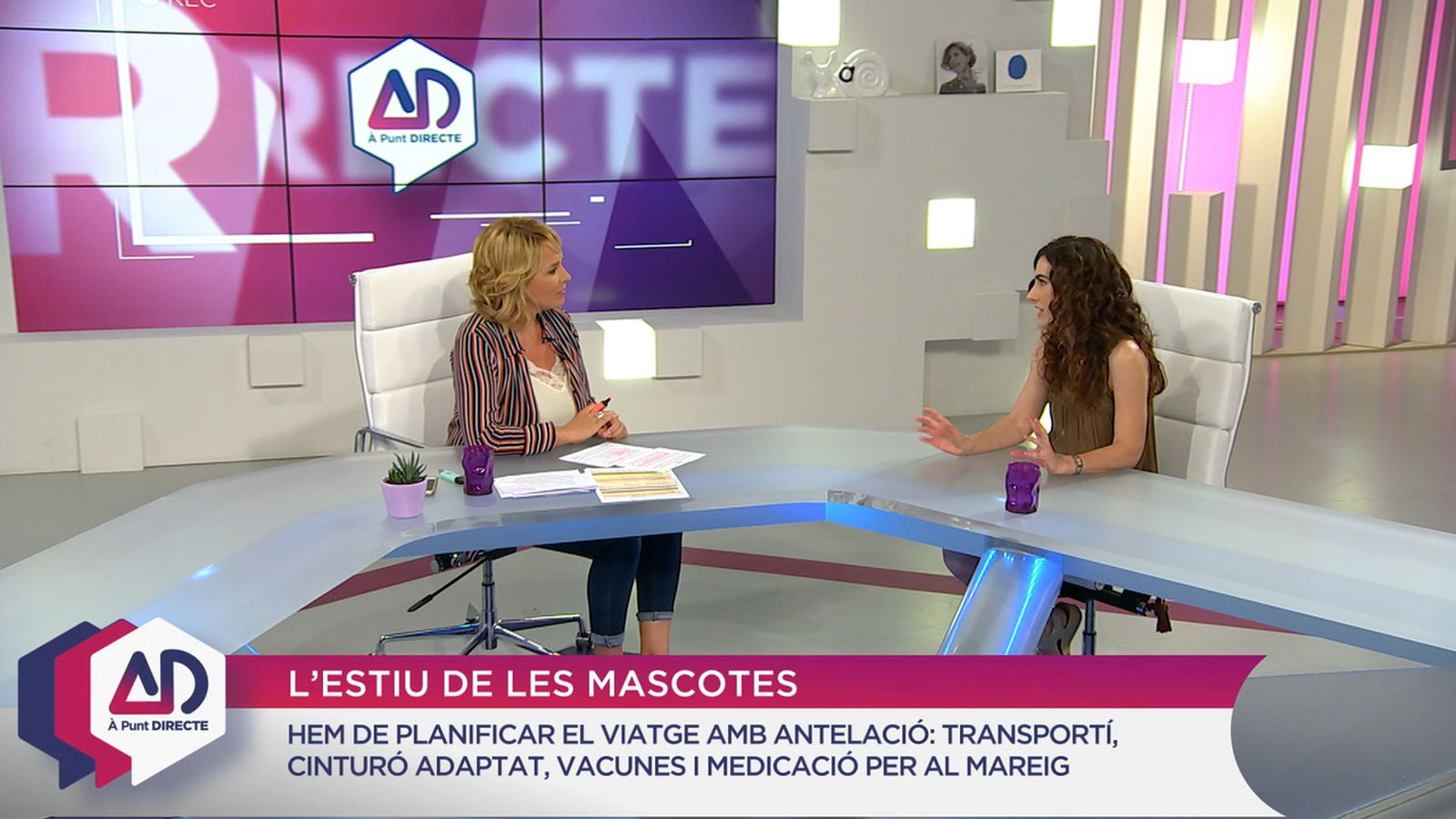 L’estiu i les mascotes