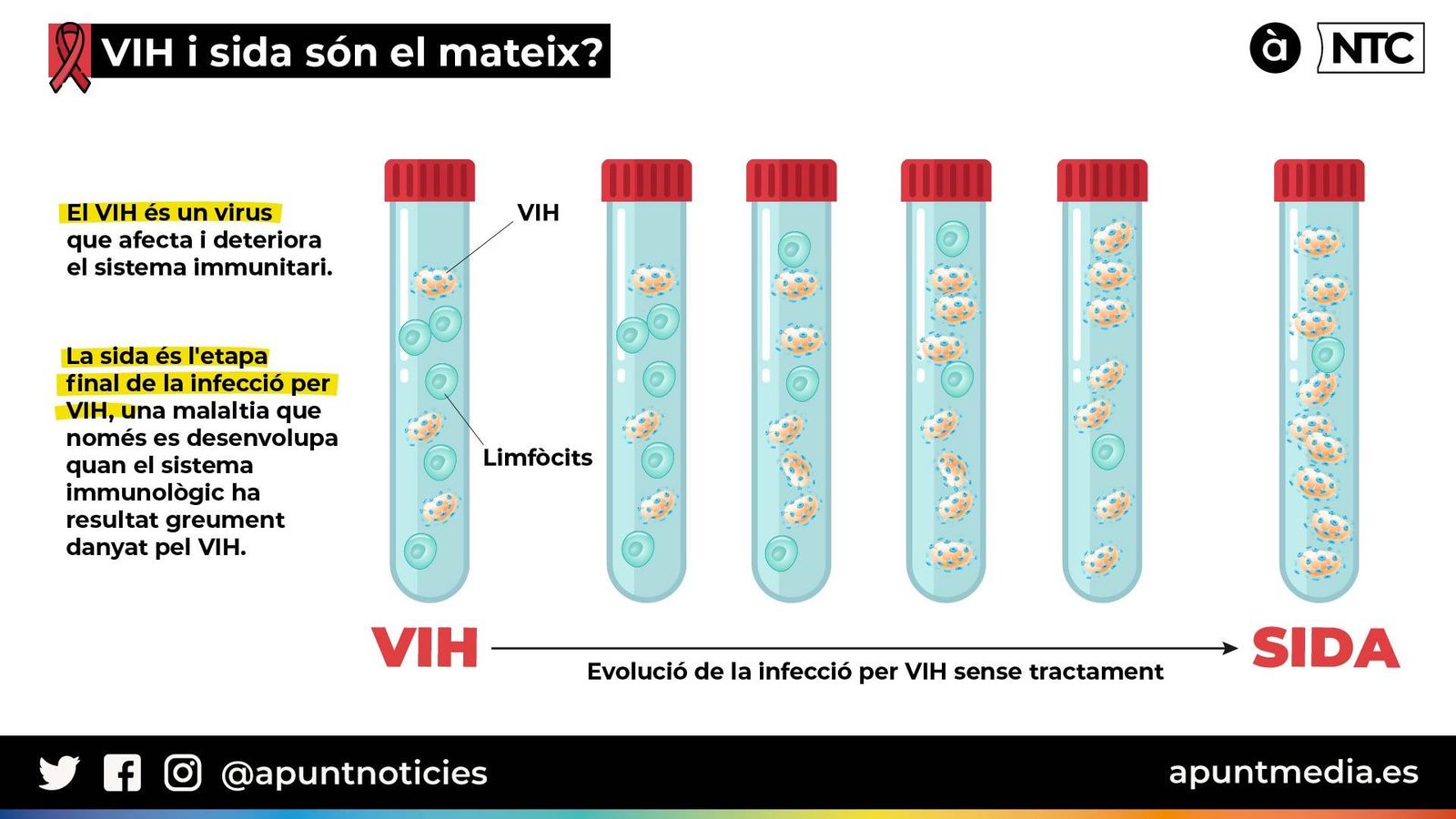 Infografia: Marta Galindo