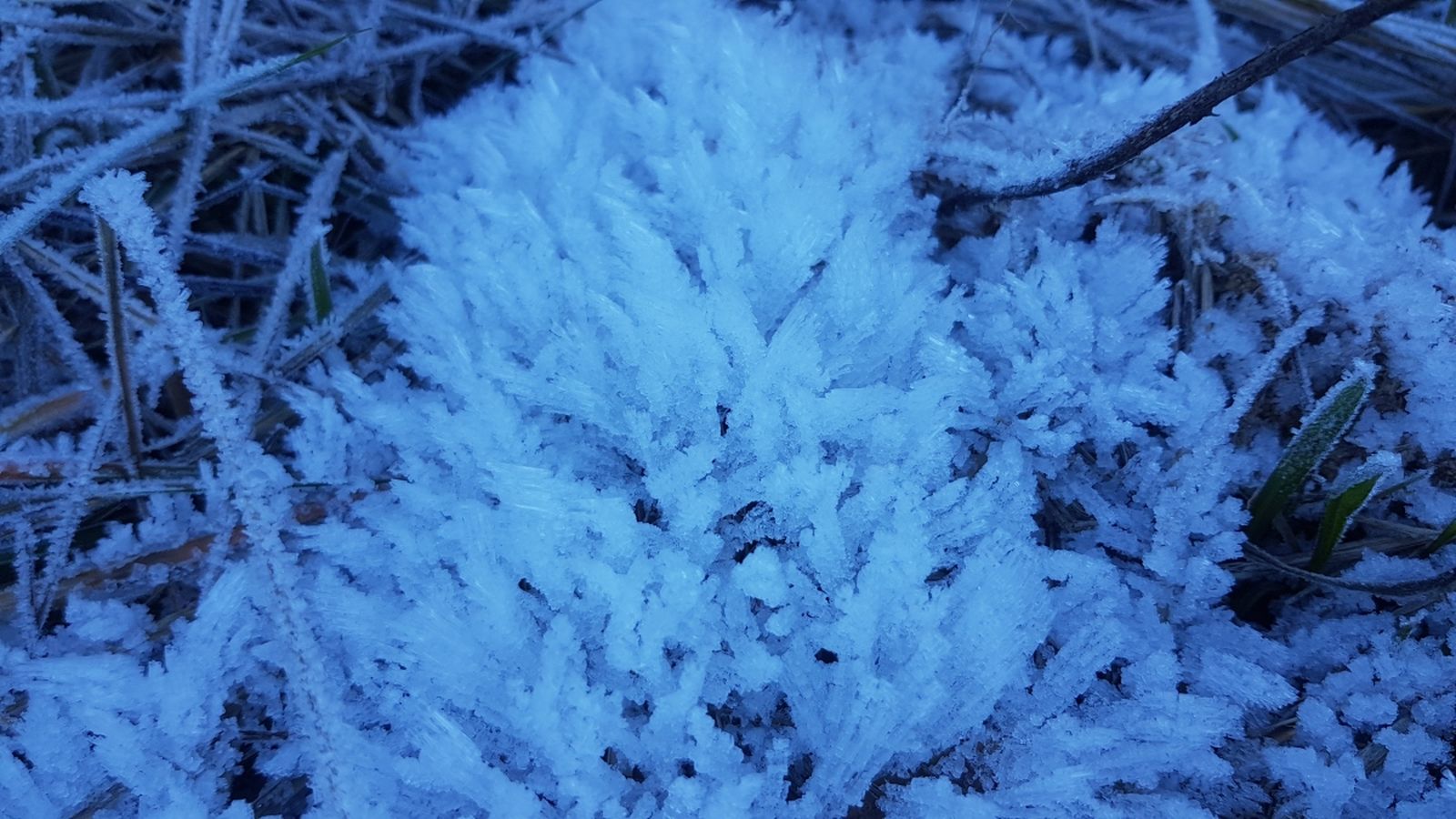 L’entrada d’aire fred ha produït el descens de les temperatures. AUTOR: Jumi Beneyto