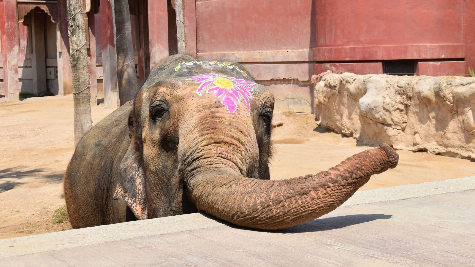 Petita durant la celebració