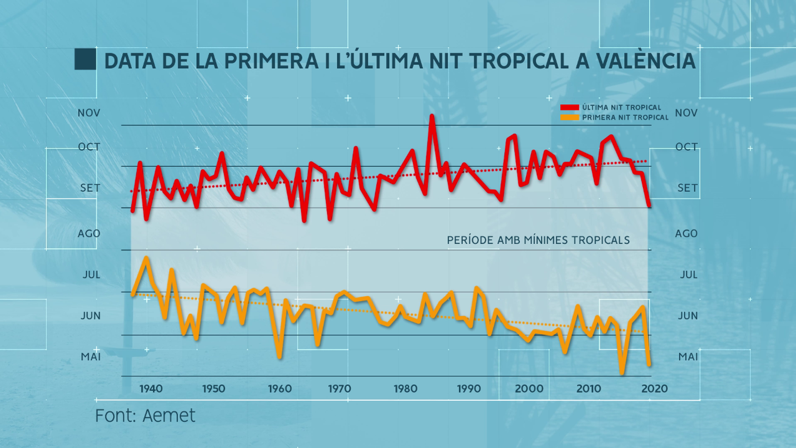 Nits tropicals a València
