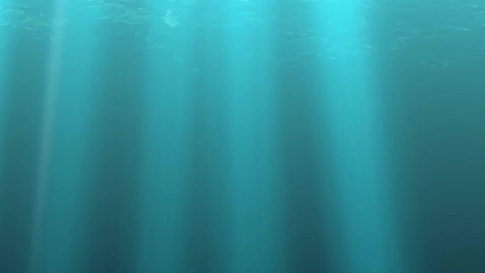 T\'ESTIME QUASI SEMPRE | CEIP Santa Bàrbara, Benifaió