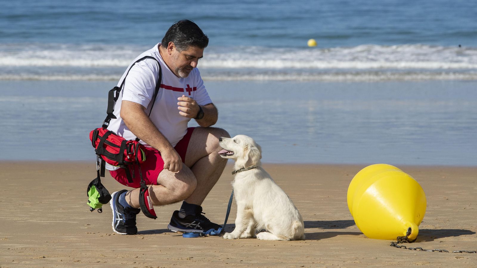El cuidador i preparador caní, Juan Luis de Castellví, al costat de Chui, un cadell de Golden Retriever que es prepara com a suport als socorristes de la Creu Roja