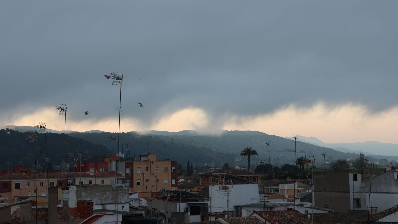 5 CARCAIXENT, LA RIBERA ALTA, JUAN MIGUEL ARAQUE.JPG