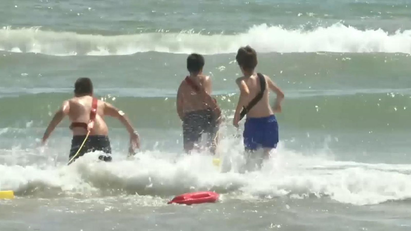 La policia local està fent batudes per a identificar el tipus de peix