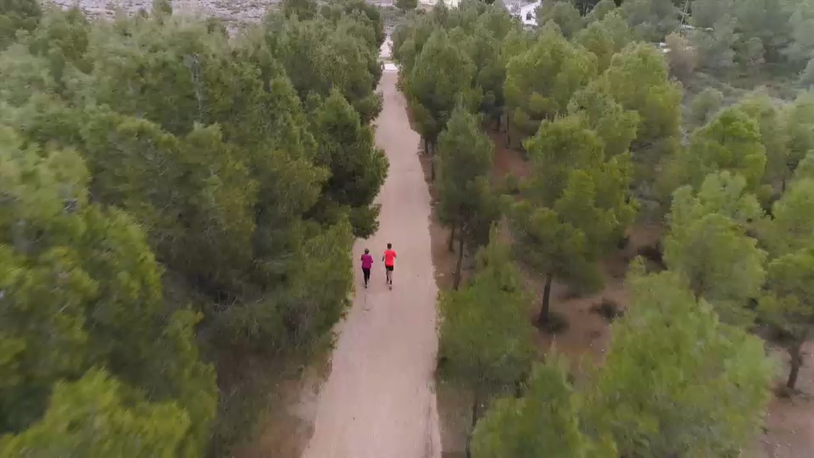El Plano (Alt Vinalopó) és un paratge natural i una de les zones més emblemàtiques de la ciutat. Per a Barceló significa tornar als arrels. Amb Xavi Blasco ha recordat la seua etapa com a alcadessa de Saix pel PSPV-PSOE durant huit anys i l'ha qualificada com "un plaer". 