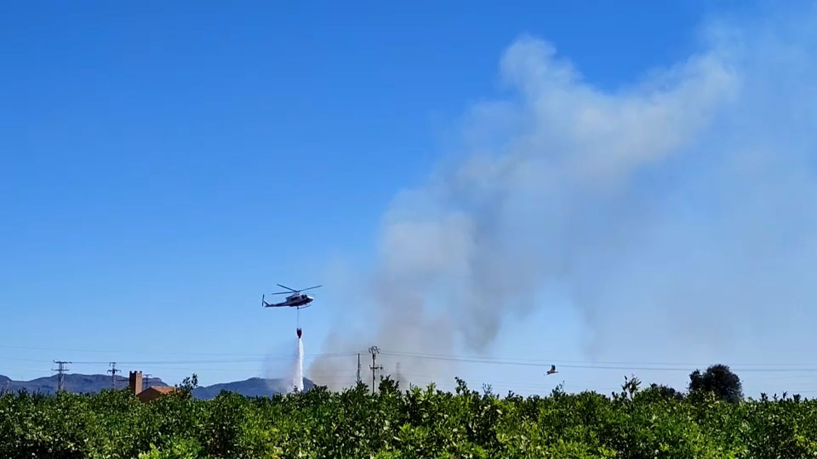 En imatge, una de les descàrregues d'un helicòpter per a apagar el foc