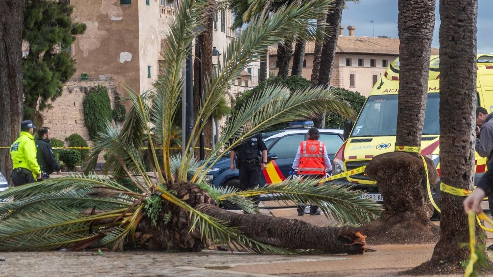 L'accident a tingut lloc al Parc de la Mar, prop de la catedral de Mallorca