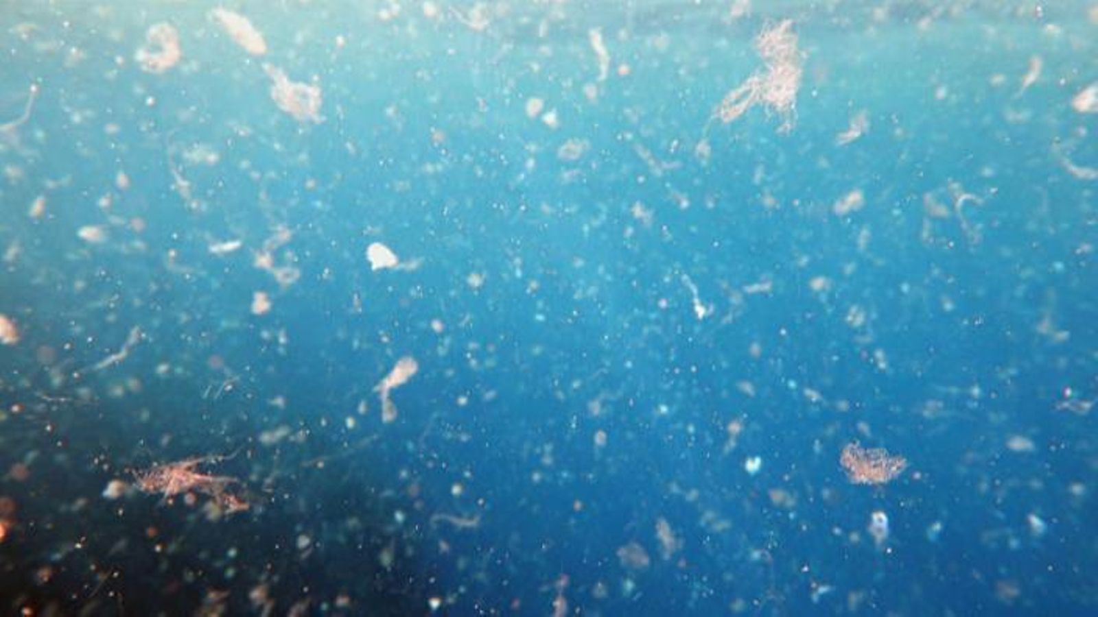Imatge d'arxiu de microplàstics en el mar