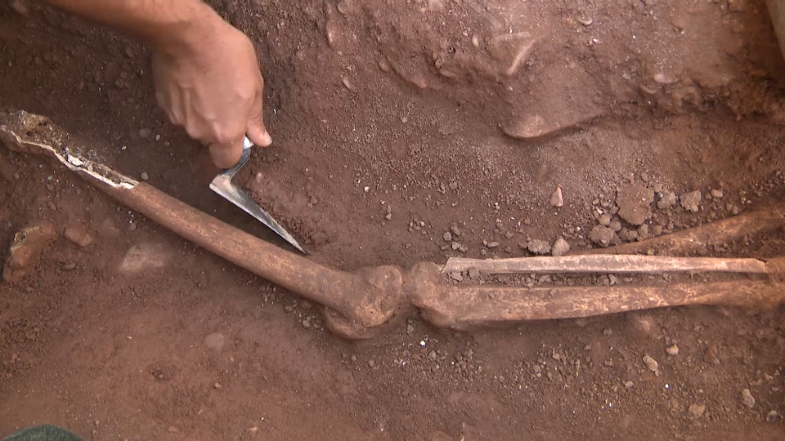 Restes humanes de la necròpoli islàmica trobada a Moncofa