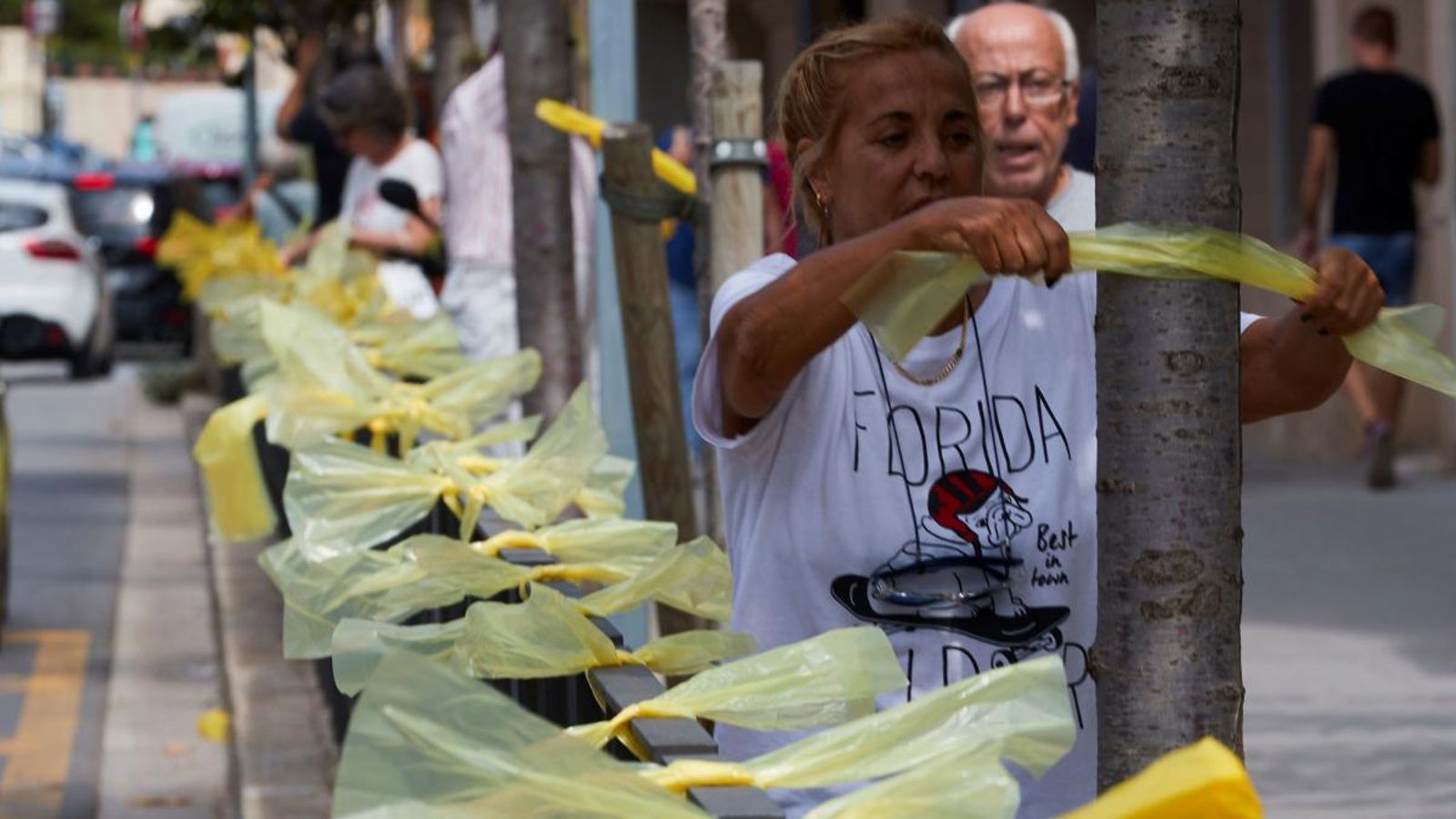 La institució insta per tant la Generalitat de Catalunya a retirar els llaços grocs després de tractar-ho en la Junta de Seguretat