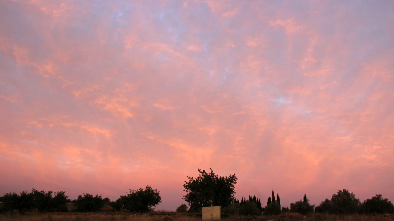 3ELISA SALA. Real, la Ribera Alta
