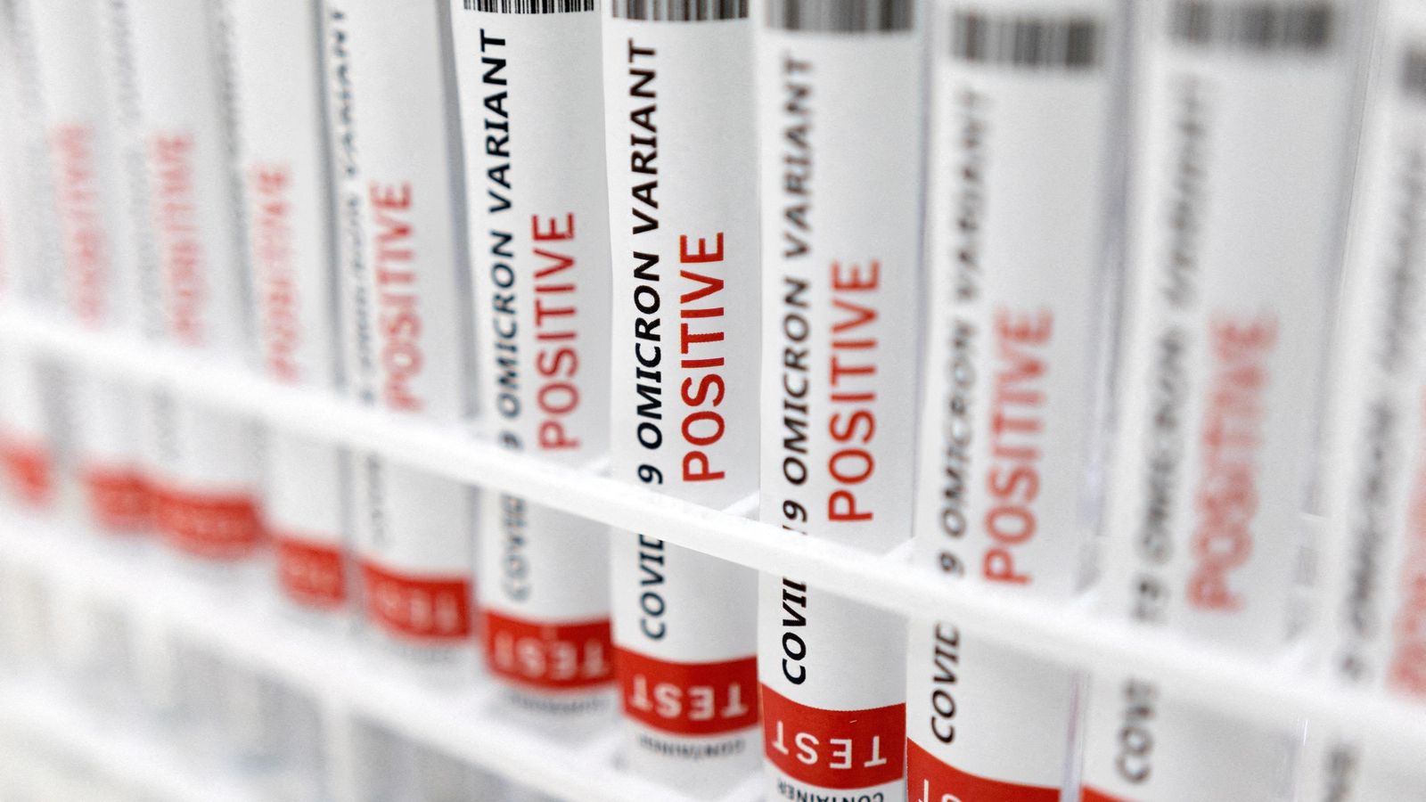 Tubs d'assaig amb etiquetes en què es llig: "Covid-19 variant òmicron positiu"