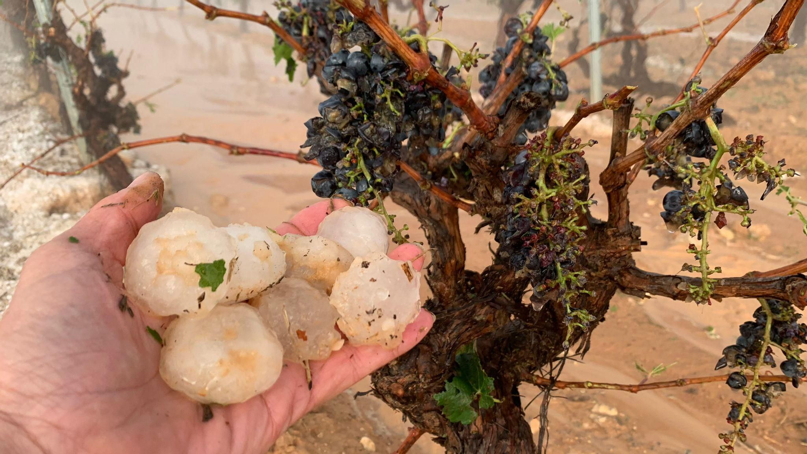 Granís caigut a Requena