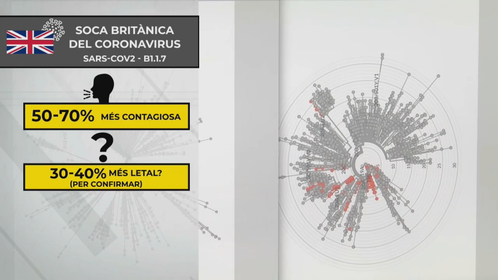 El Ministeri de Sanitat confirma l’expansió de la soca britànica a Espanya