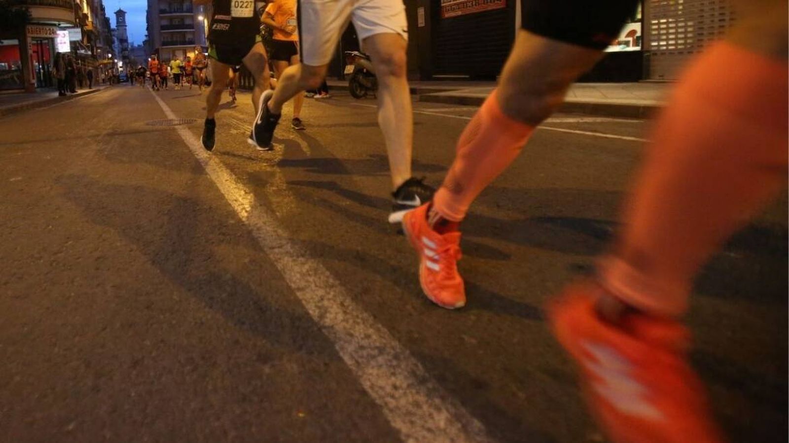 San Silvestre d'Elx, en arxiu