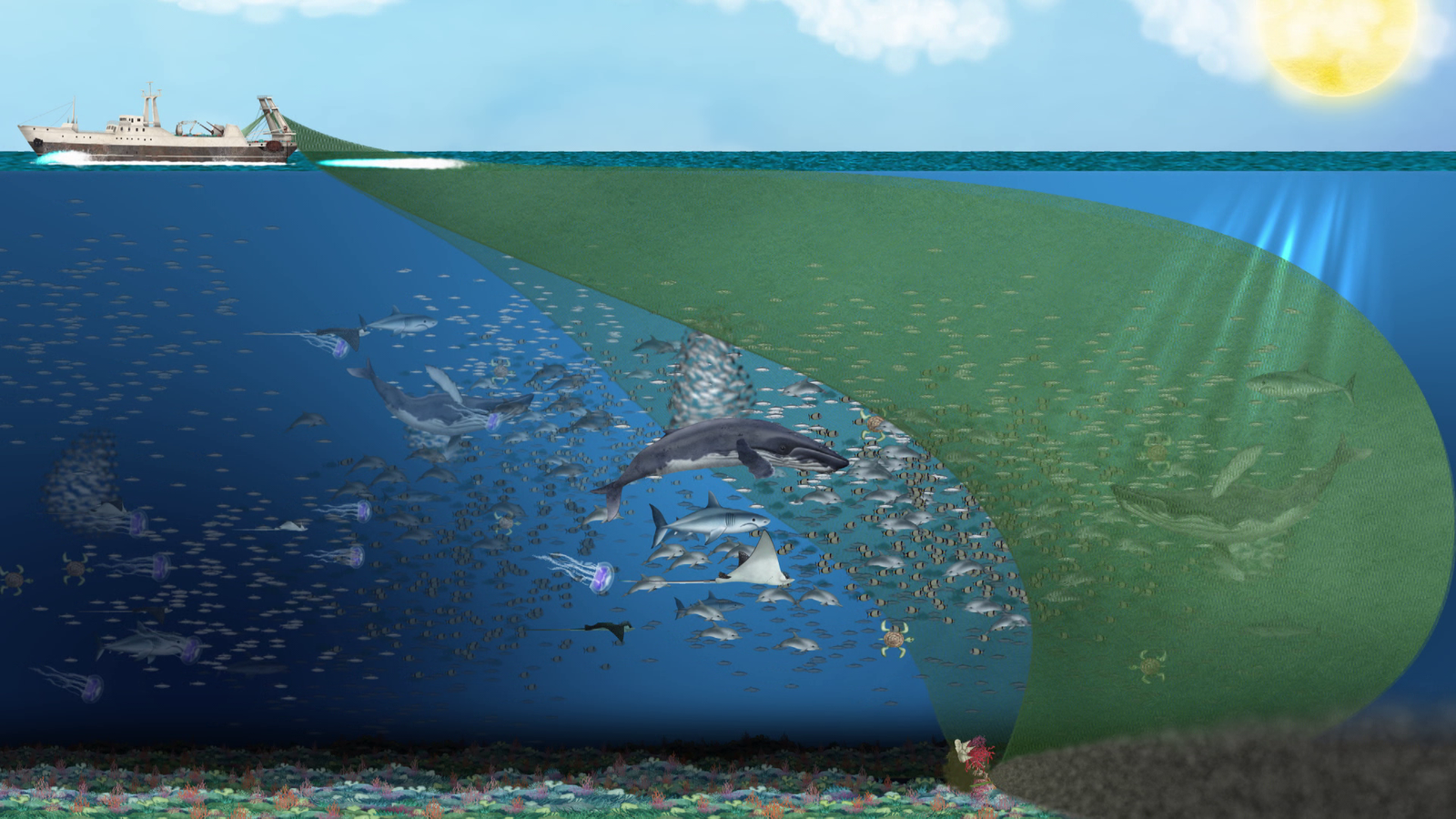 Sobrepesca