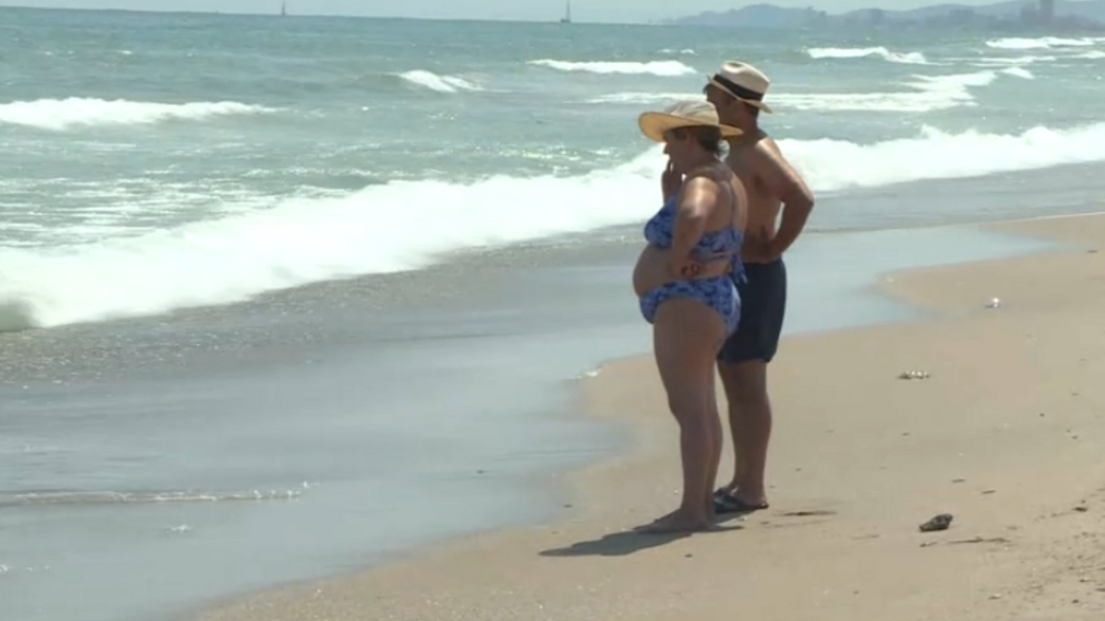 Els banyistes del Saler i Pinedo ixen de l'aigua en veure meduses negres