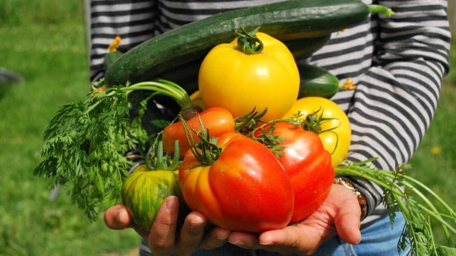 L'exportació d'hortalisses va créixer un 4,4%