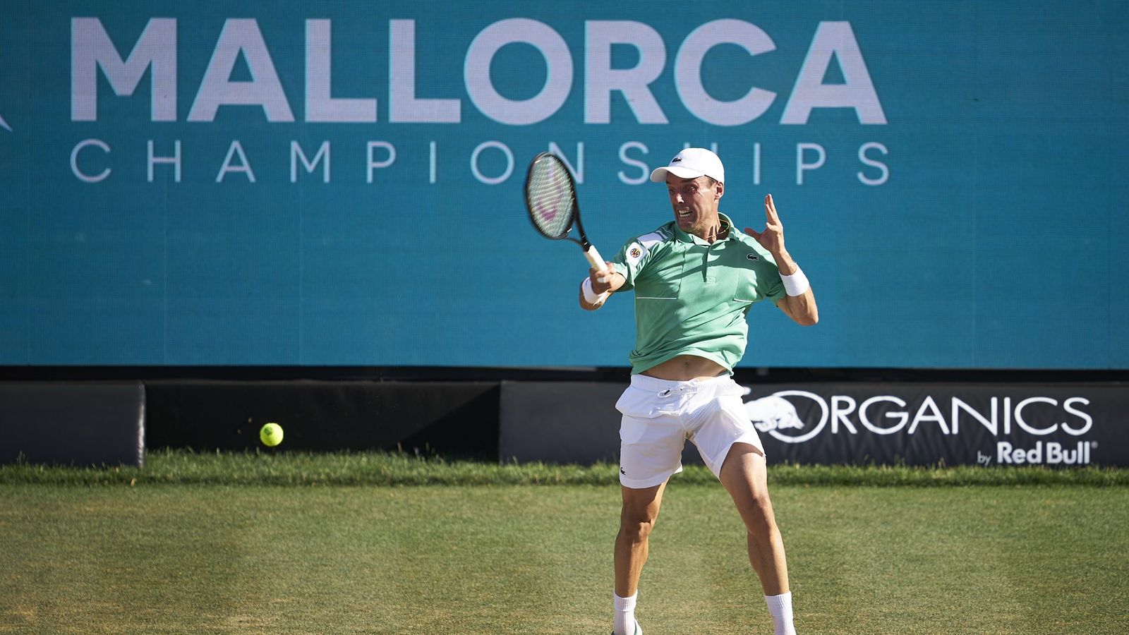 Bautista colpeja una pilota al torneig de Mallorca