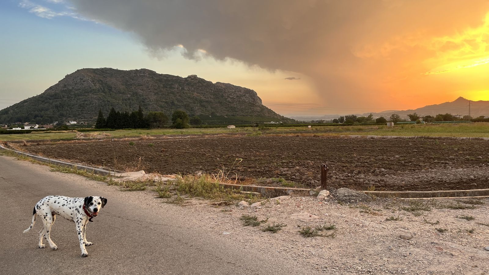 MATI MOSCARDÓ, Llocnou de'n Fenollet, la Costera