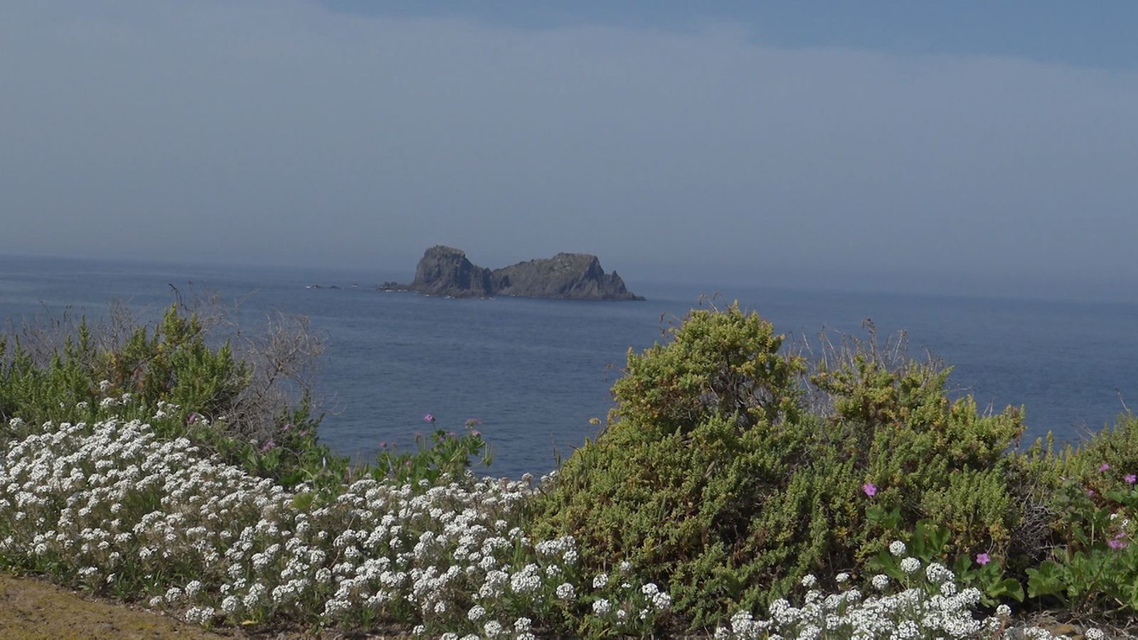 16.07.2018 | Les illes valencianes