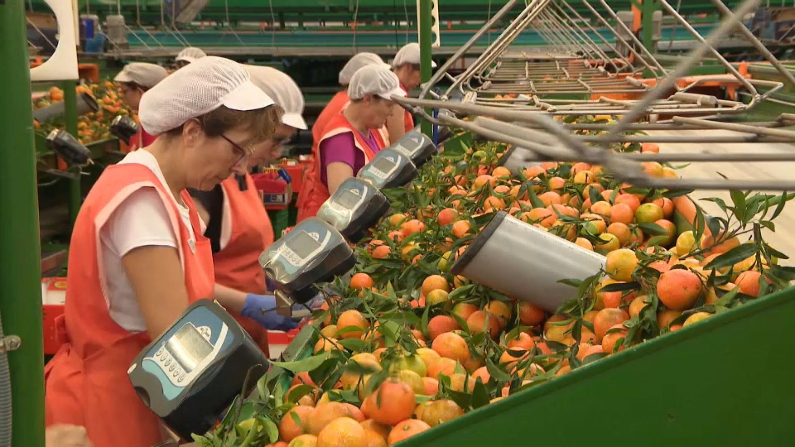 La Unió demana aranzels als cítrics extracomunitaris