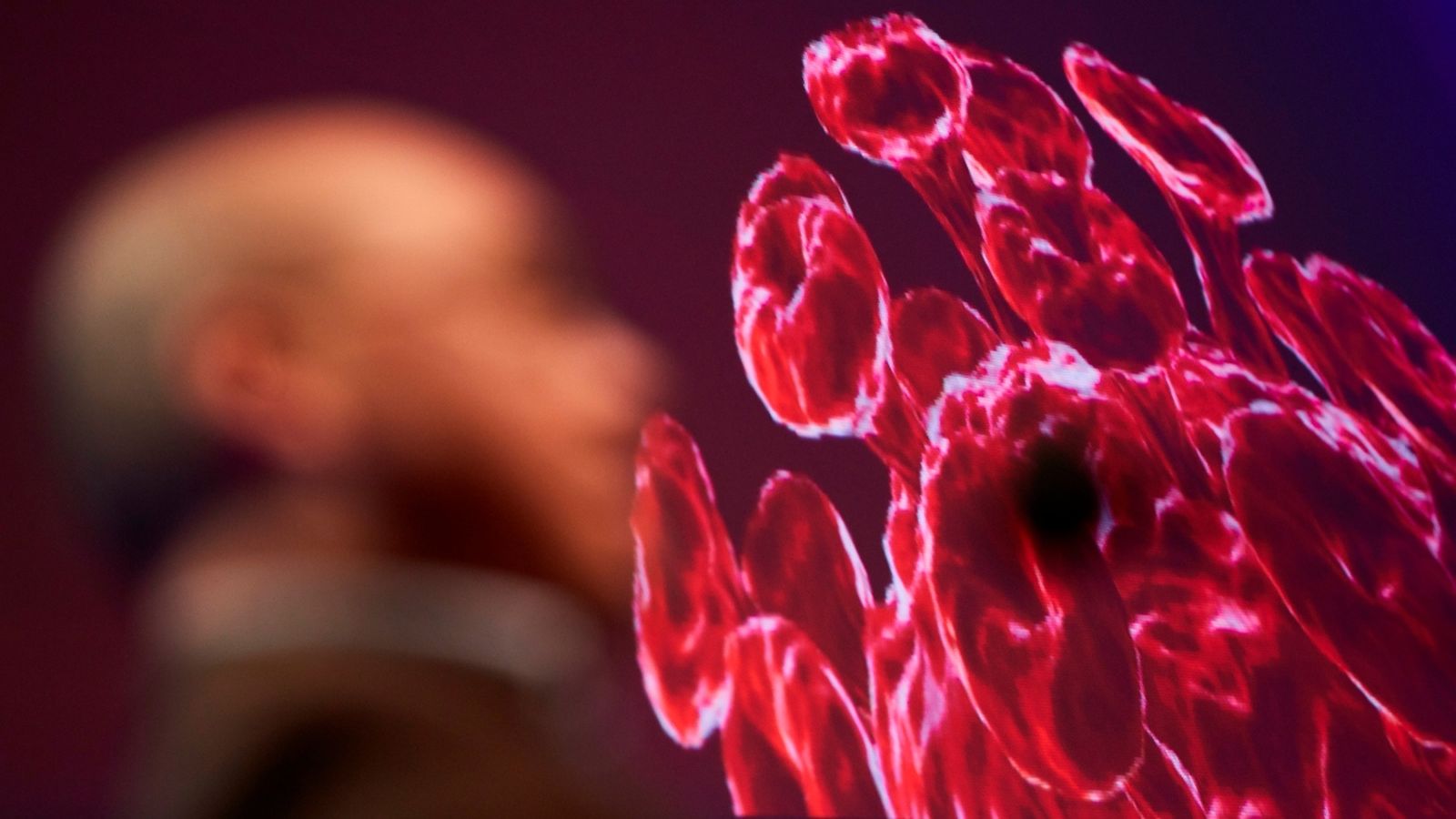 Imatge del congrés Virus 2020, que s’ha celebrat a Barcelona aquesta setmana