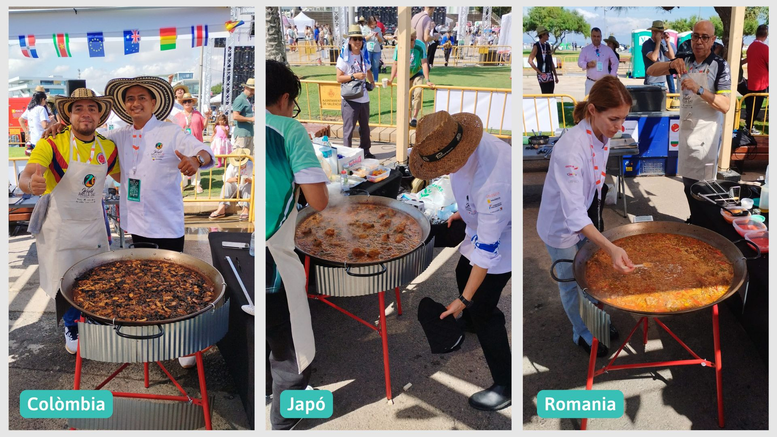 Propostes de Colòmbia, Japó i Romania