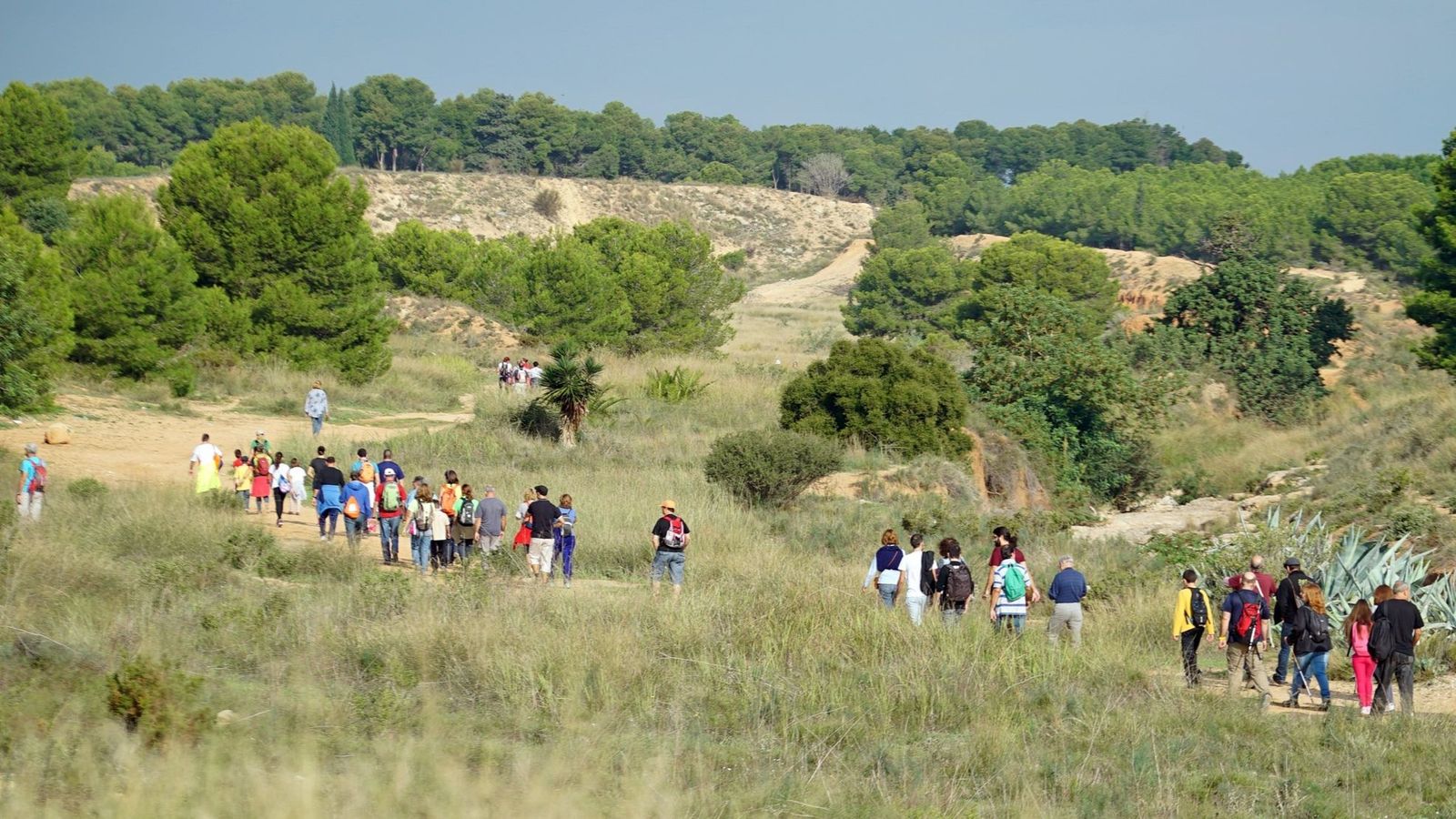 Les Moles de Paterna, un dels paratges amenaçats, en una imatge d'arxiu