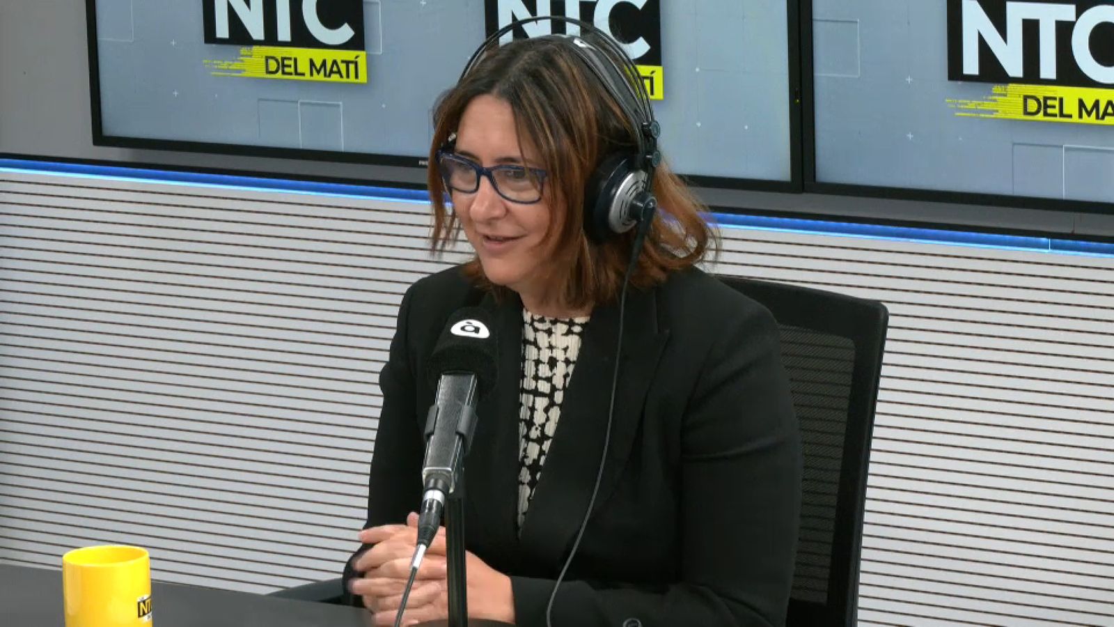 La coordinadora d'EUPV i consellera de Transparència i Participació, Rosa Pérez Garijo