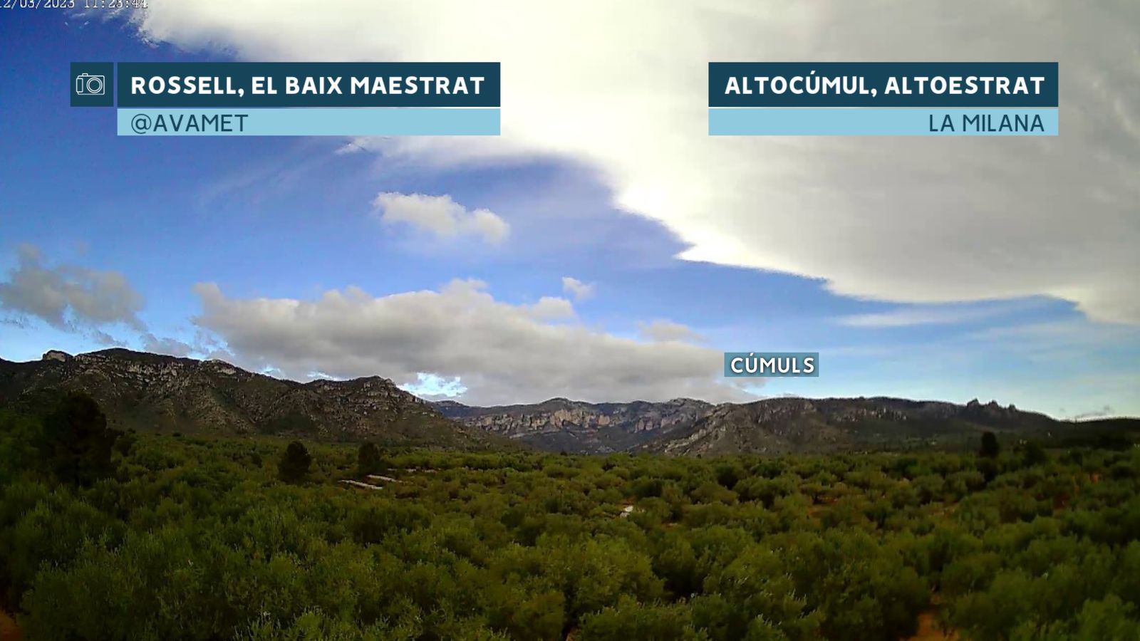 S'ha vist la Milana al nord de Castelló.