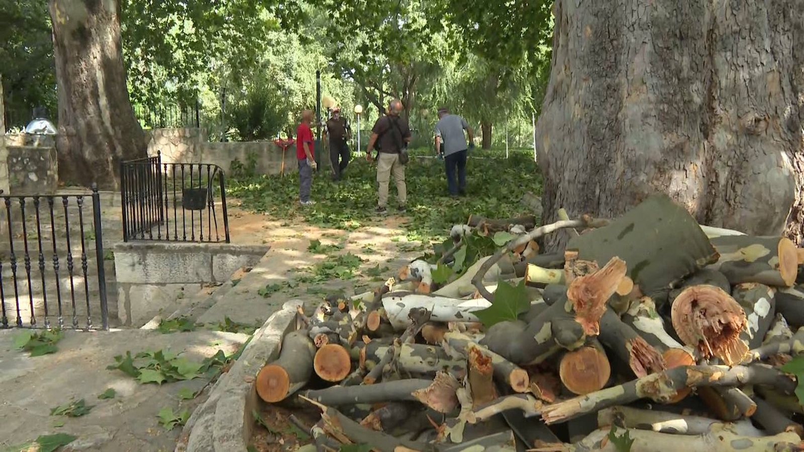 Rames trencades en un parc de la localitat de Xella, per l'esclafit tèrmic de dilluns per la nit