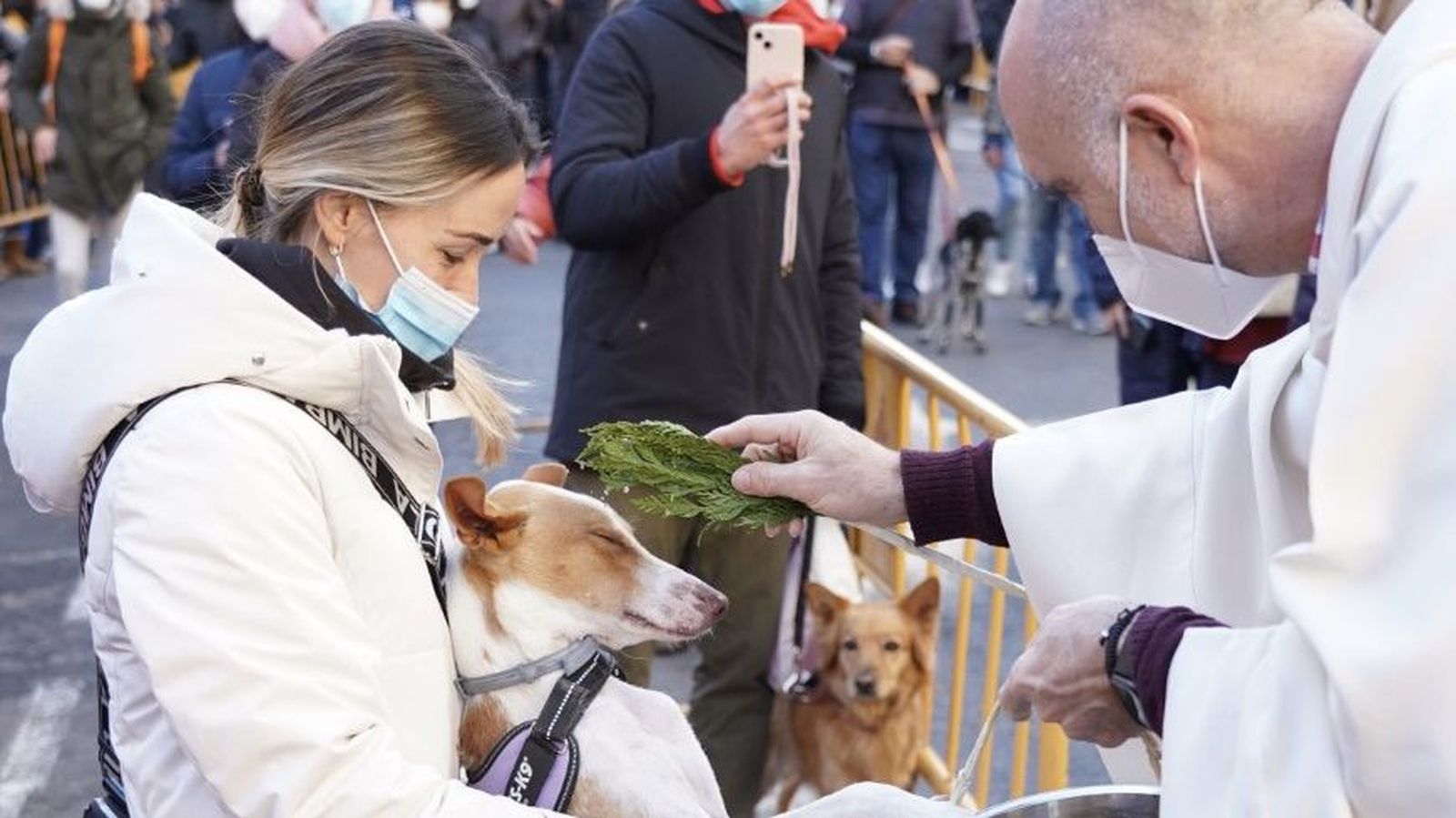 Animals i propietaris acudeixen a la benedicció en el barri de Sant Antoni de València