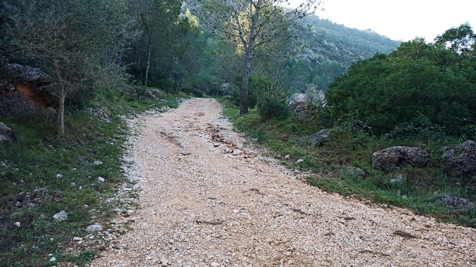 El cadàver del gos va aparéixer en la zona de muntanya de la Font dels Olbits, a l'Orxa