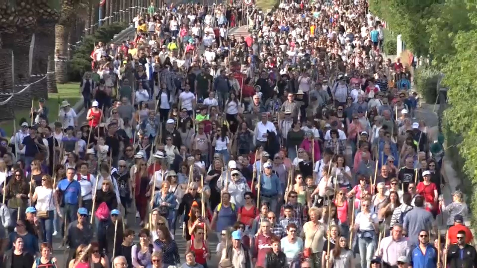 Imatge d'arxiu de la Romeria de la Santa Faç de 2022